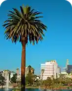 Los Angeles